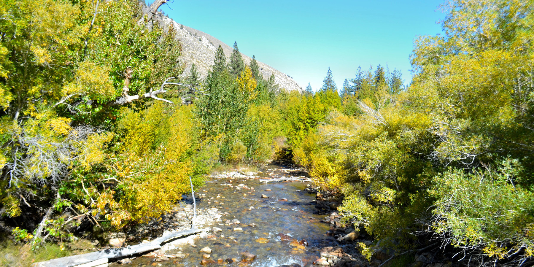 Big Pine Creek Campground Outdoor Project   Dsc 4311 