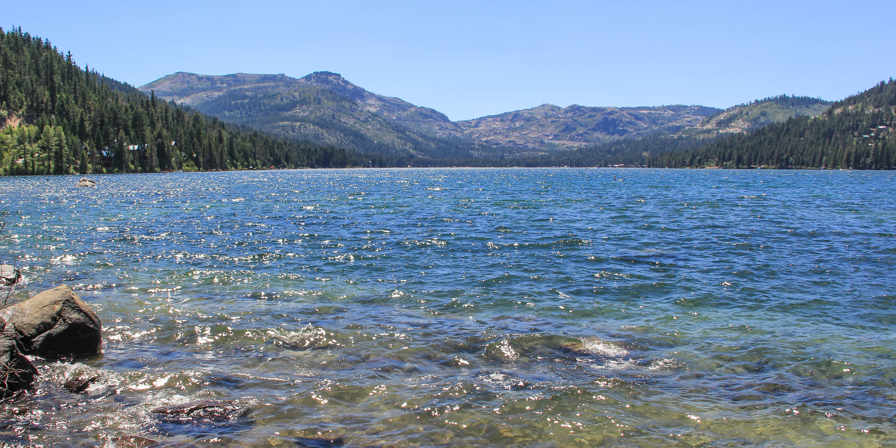 Donner Memorial State Park Campground Outdoor Project   Aron Bosworth 6264 