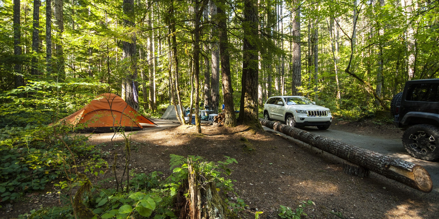 Skokomish Park at Lake Cushman Camping: An Oasis of Nature and History ...