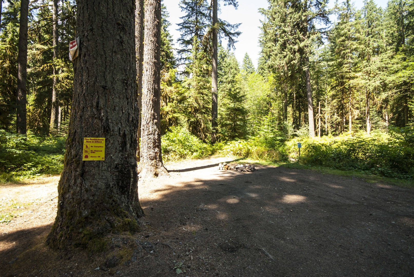 Park Creek Campsite Outdoor Project   Dsc 0290 