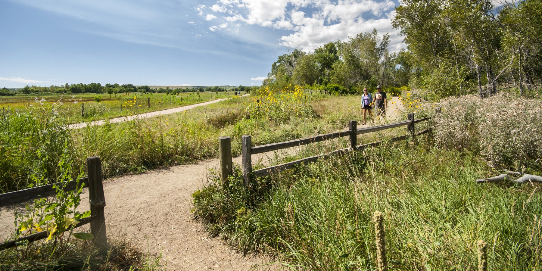 South Boulder Creek Trail Via Bobolink Trailhead | Outdoor Project