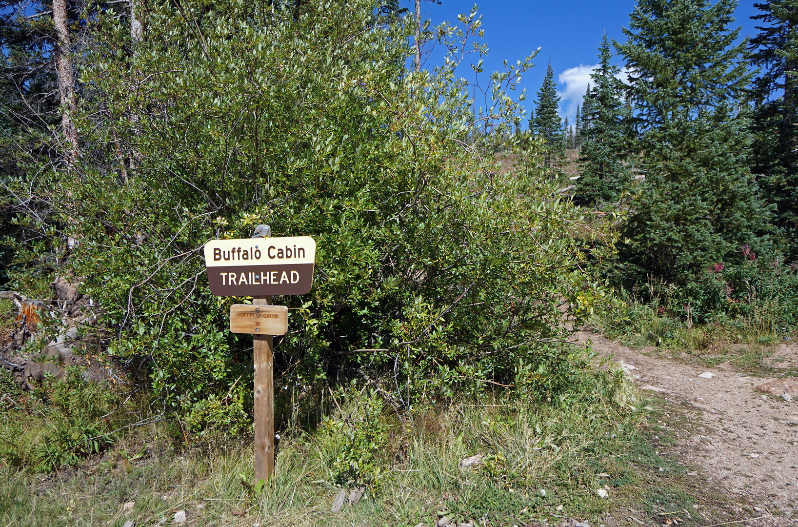 Buffalo Cabin + Buffalo Mountain Hike 