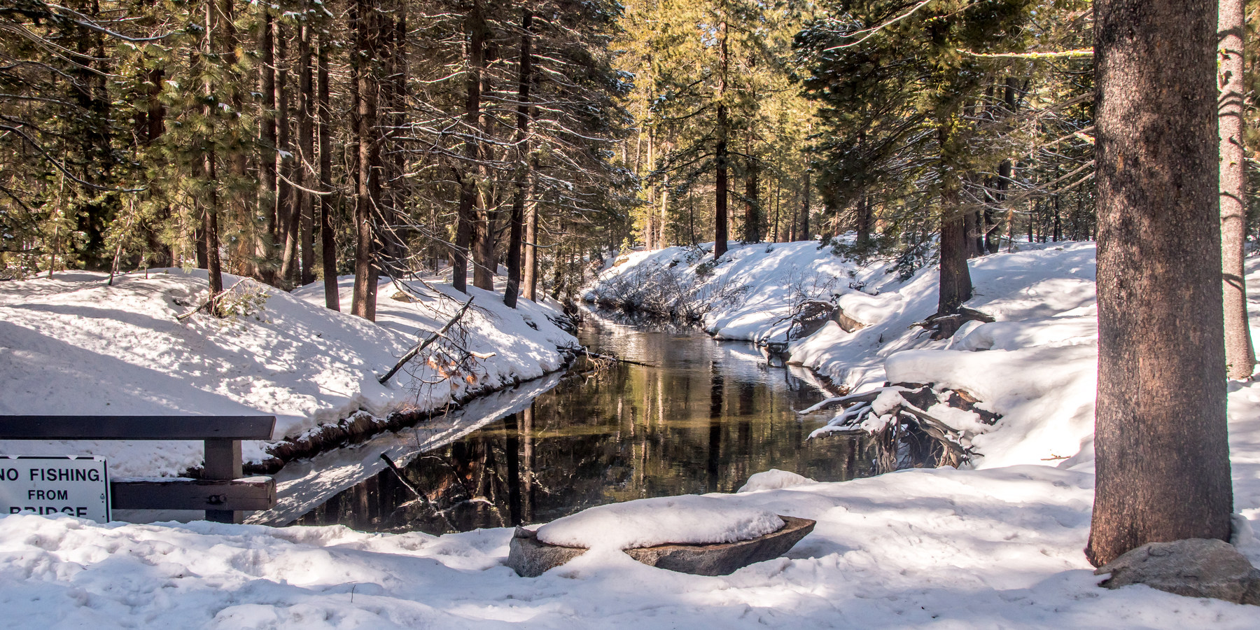 Donner Memorial State Park Snowshoe Outdoor Project   Dpl 5312 