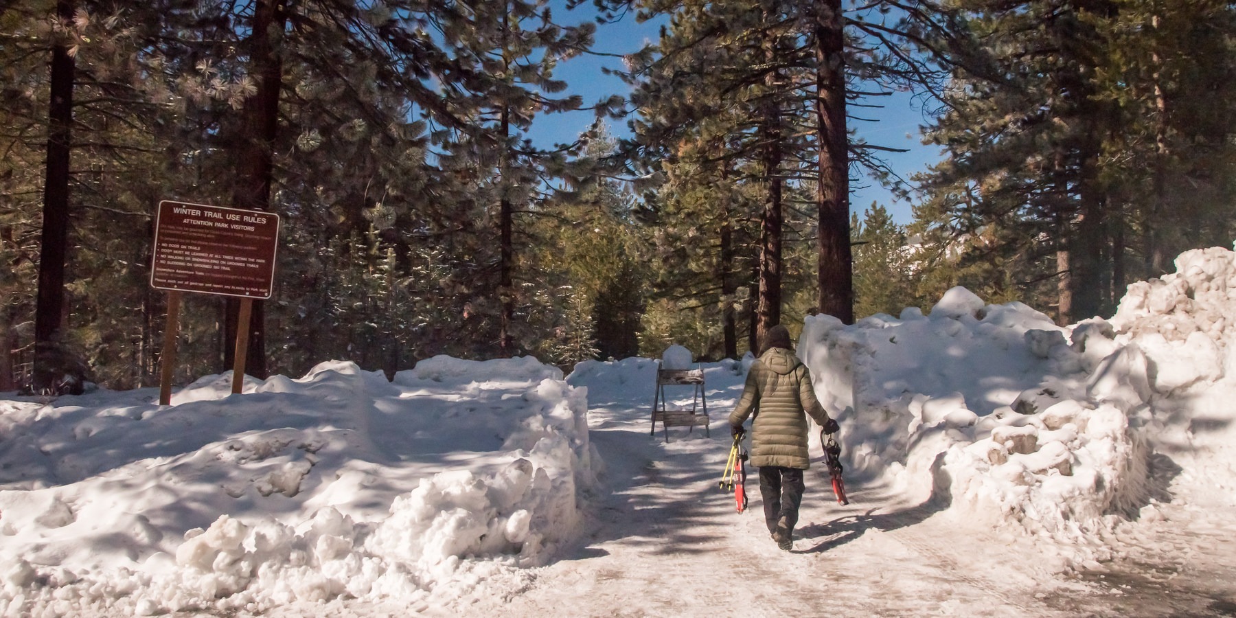 Donner Memorial State Park Snowshoe Outdoor Project   Dpl 5307 