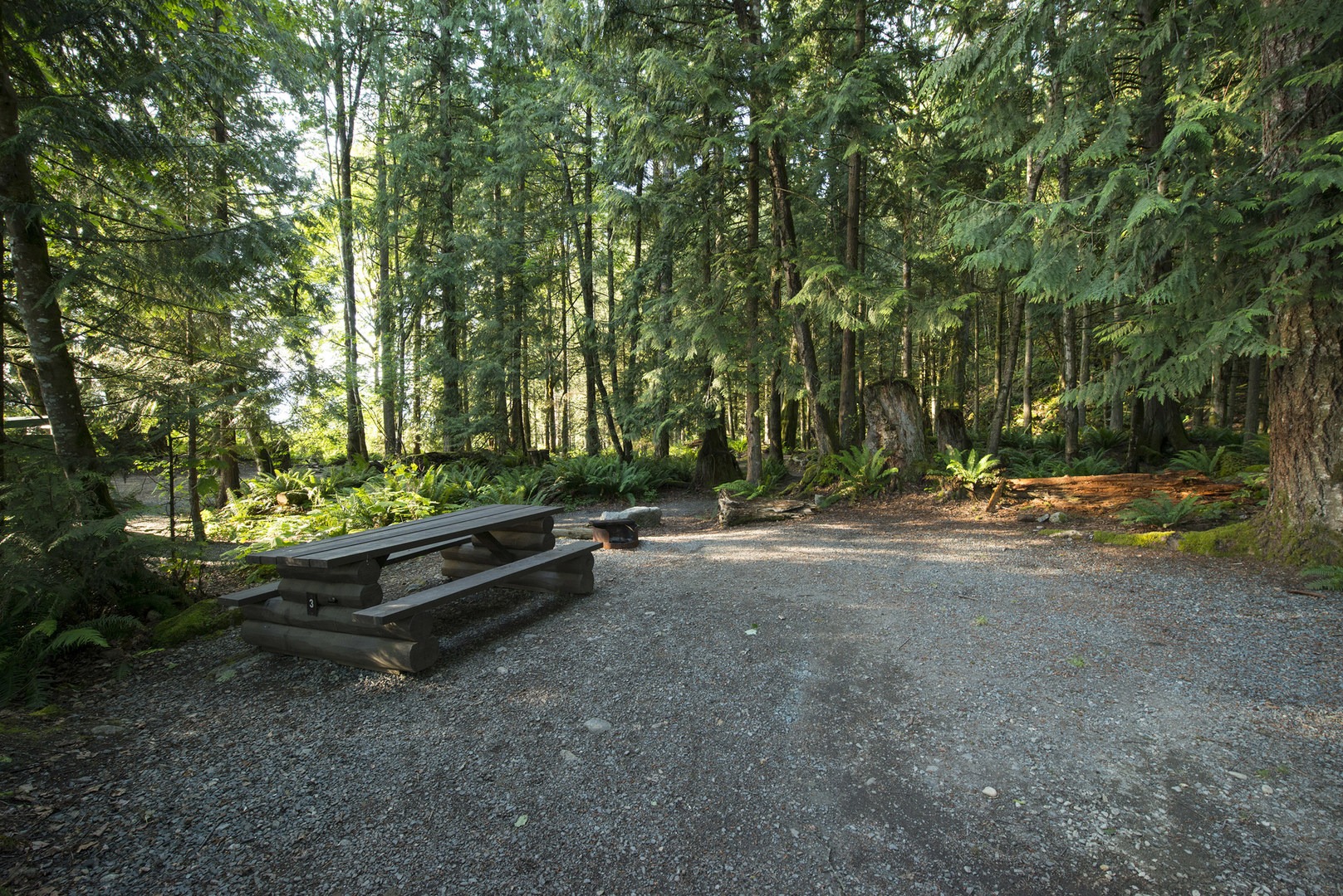 Bear Creek Recreation Site Campground Outdoor Project   Dsc 7760 