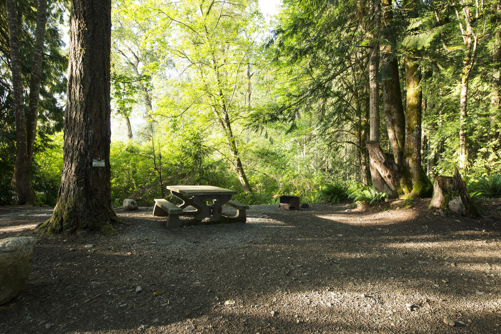 Bear Creek Recreation Site Campground Outdoor Project   Dsc 7764 