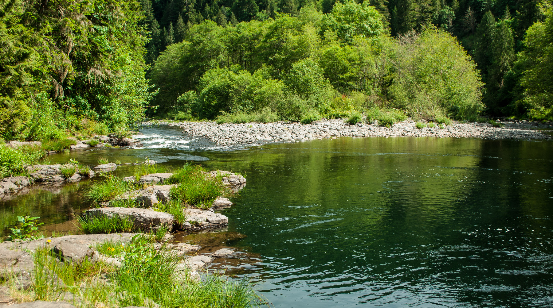 Day Use Site 4: Molalla River Swimming 