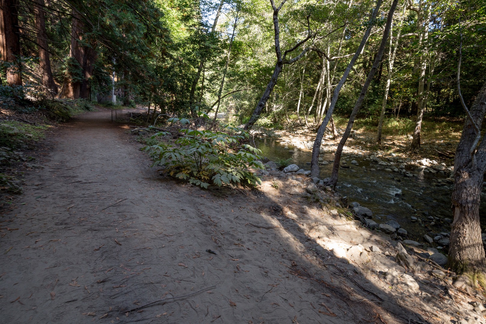 Buzzard s Roost Trail Outdoor Project