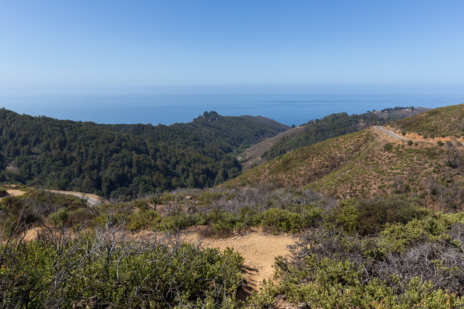 Buzzard's Roost Trail | Outdoor Project