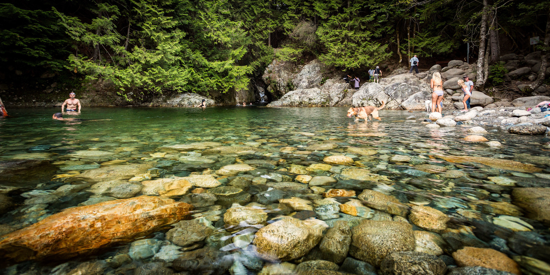 amazon rectangle pool