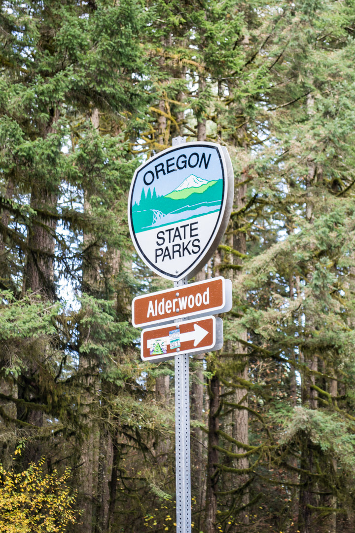 Alderwood State Wayside Outdoor Project