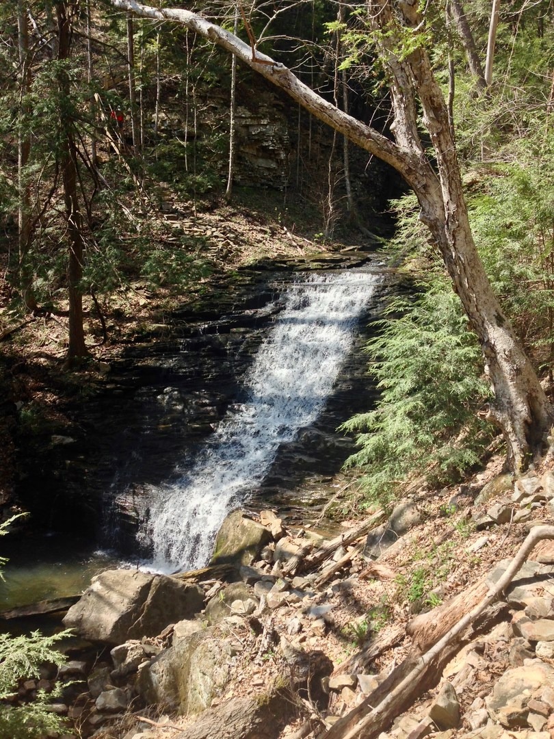 Fiery Gizzard Trail | Outdoor Project