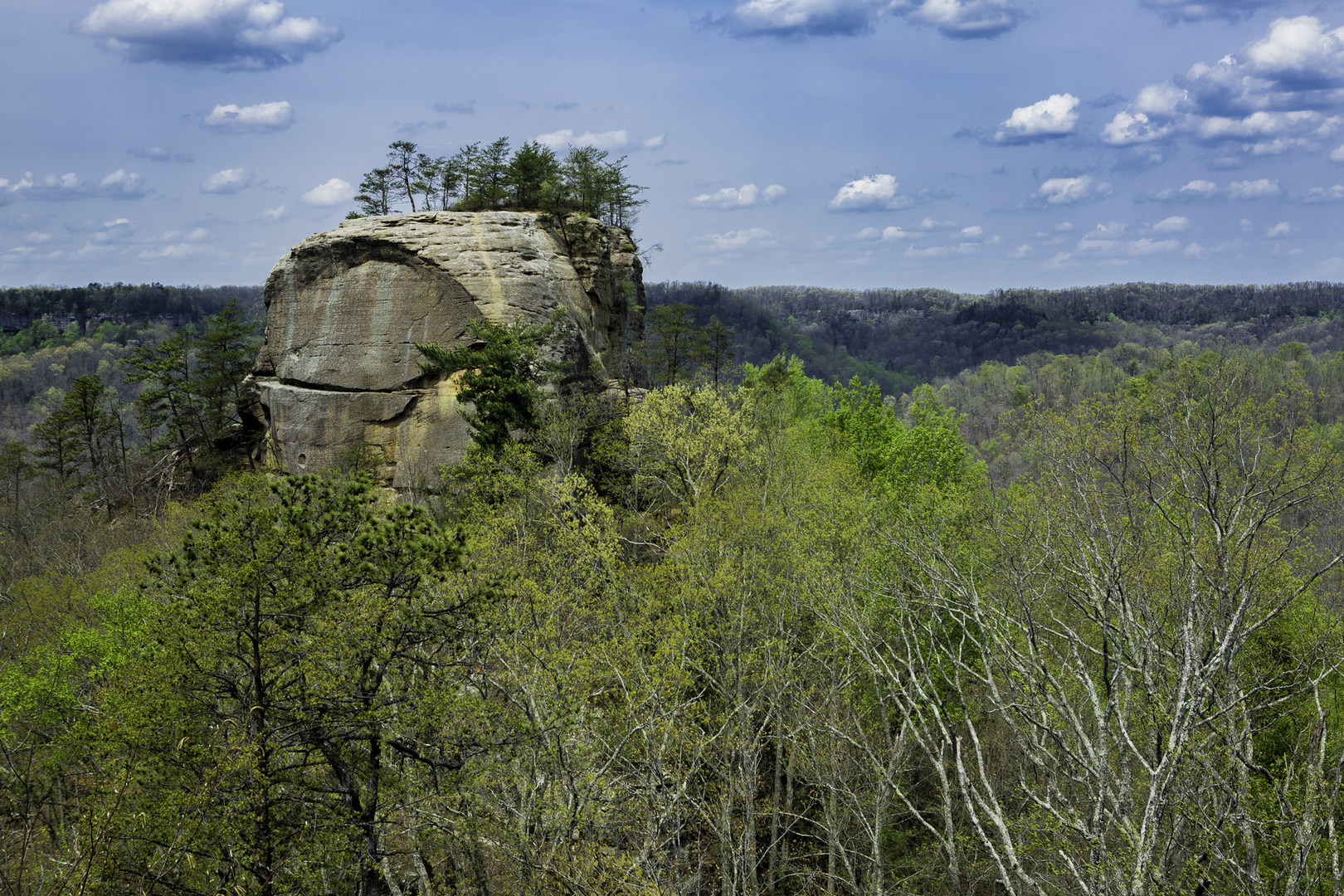 Red River Gorge Geological Area Outdoor Project 