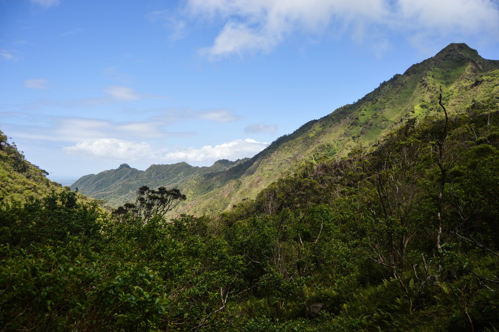 Kulana'ahane Trail | Outdoor Project