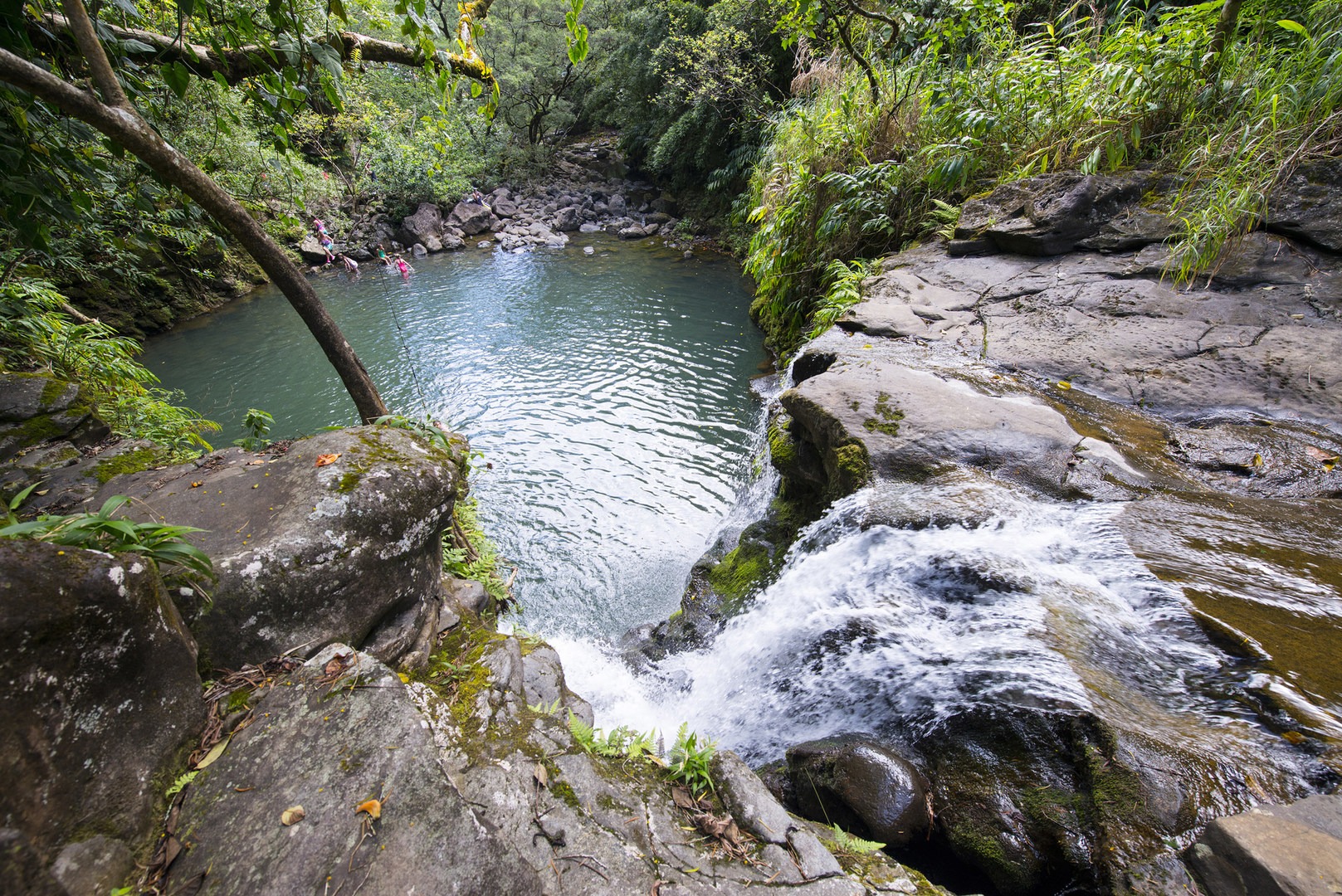 Waikamoi Falls | Outdoor Project