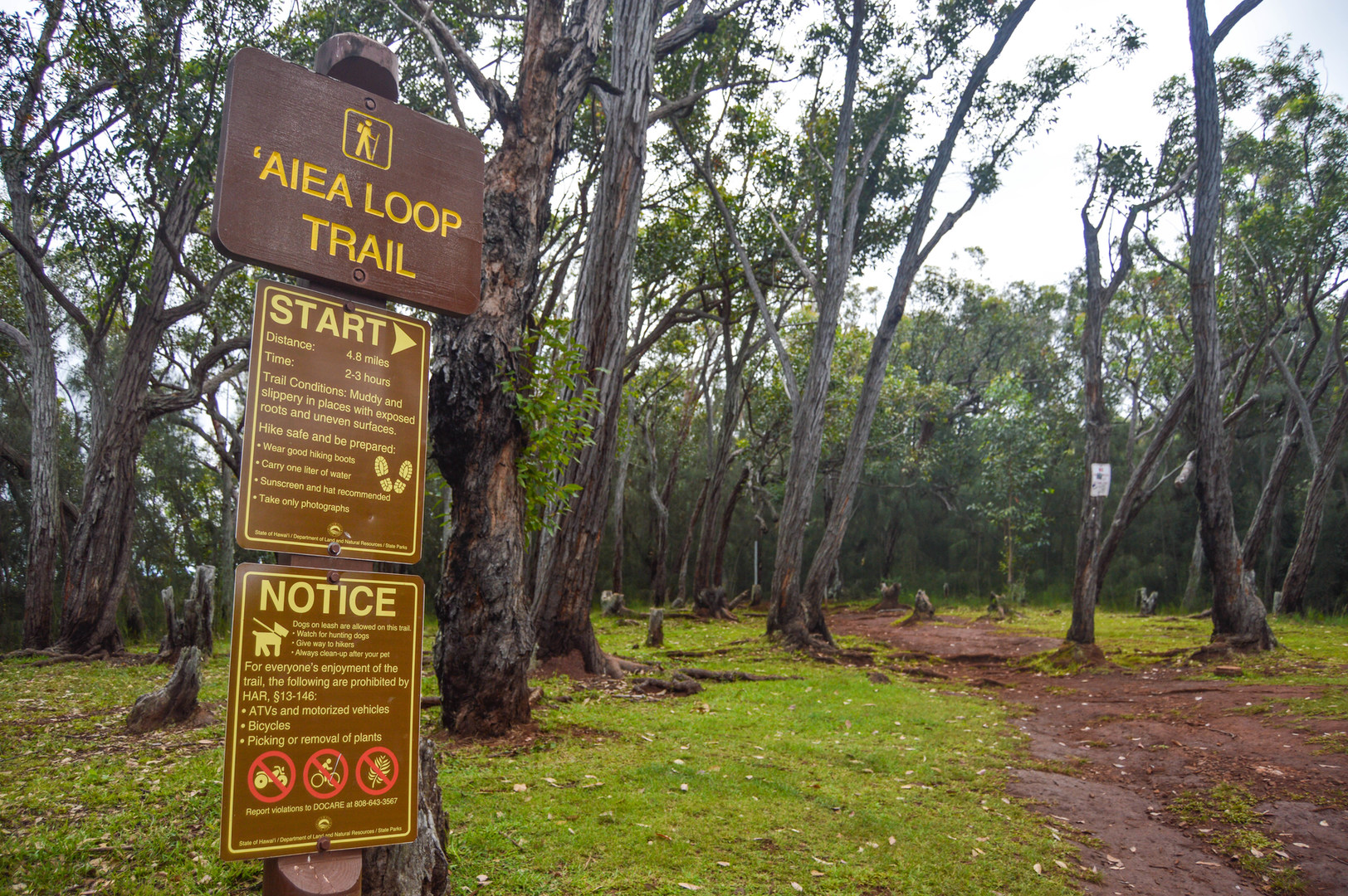 Image result for aiea loop trail bomber wing