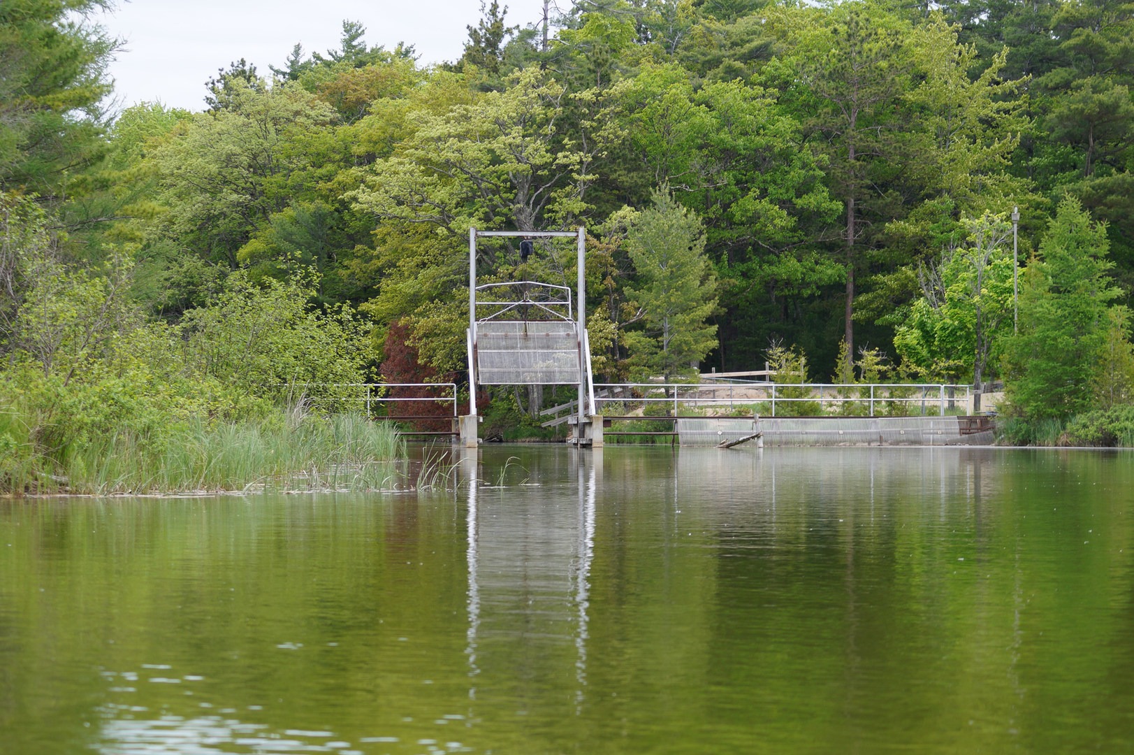 Lower Platte River M 22 Bridge To Lake Michigan Outdoor Project   Dsc03648 