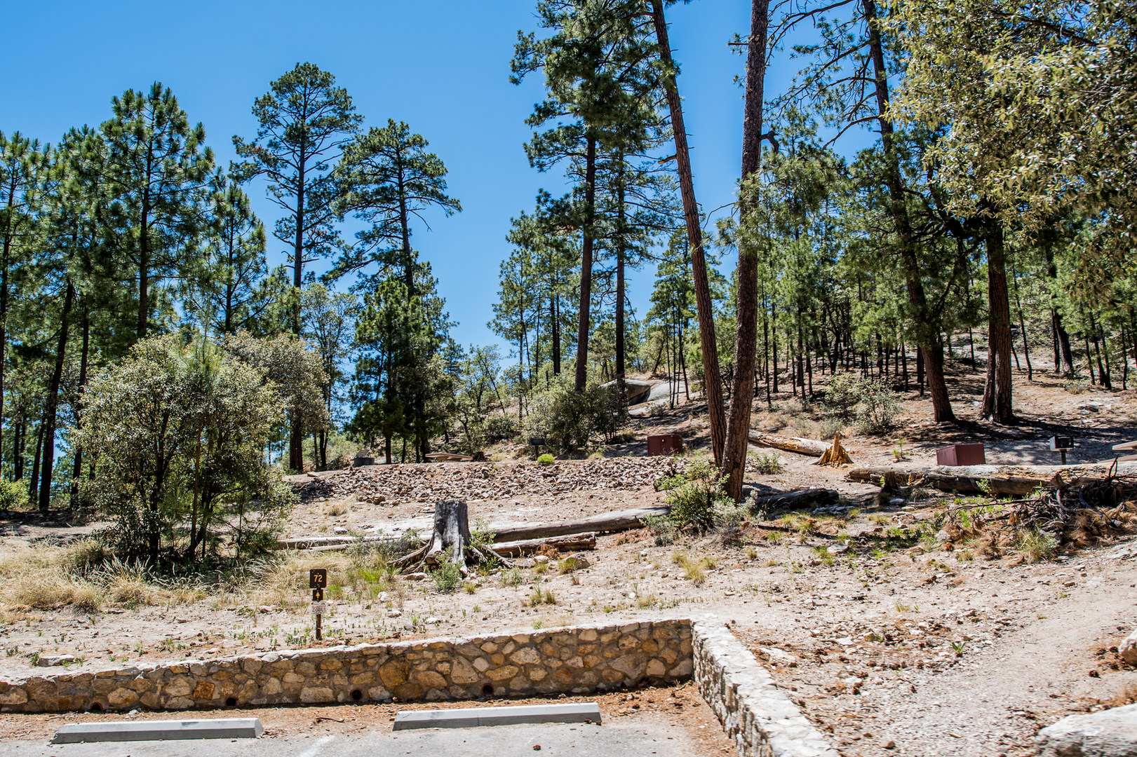 Escape to the Desert Oasis: A Guide to Rose Canyon Lake Campground