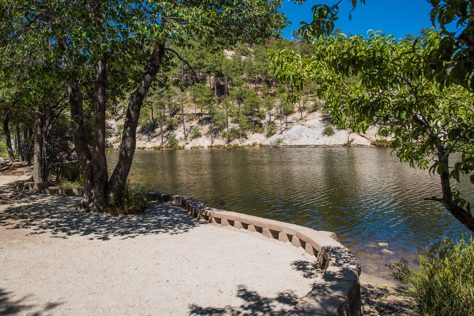 Escape to the Desert Oasis: A Guide to Rose Canyon Lake Campground