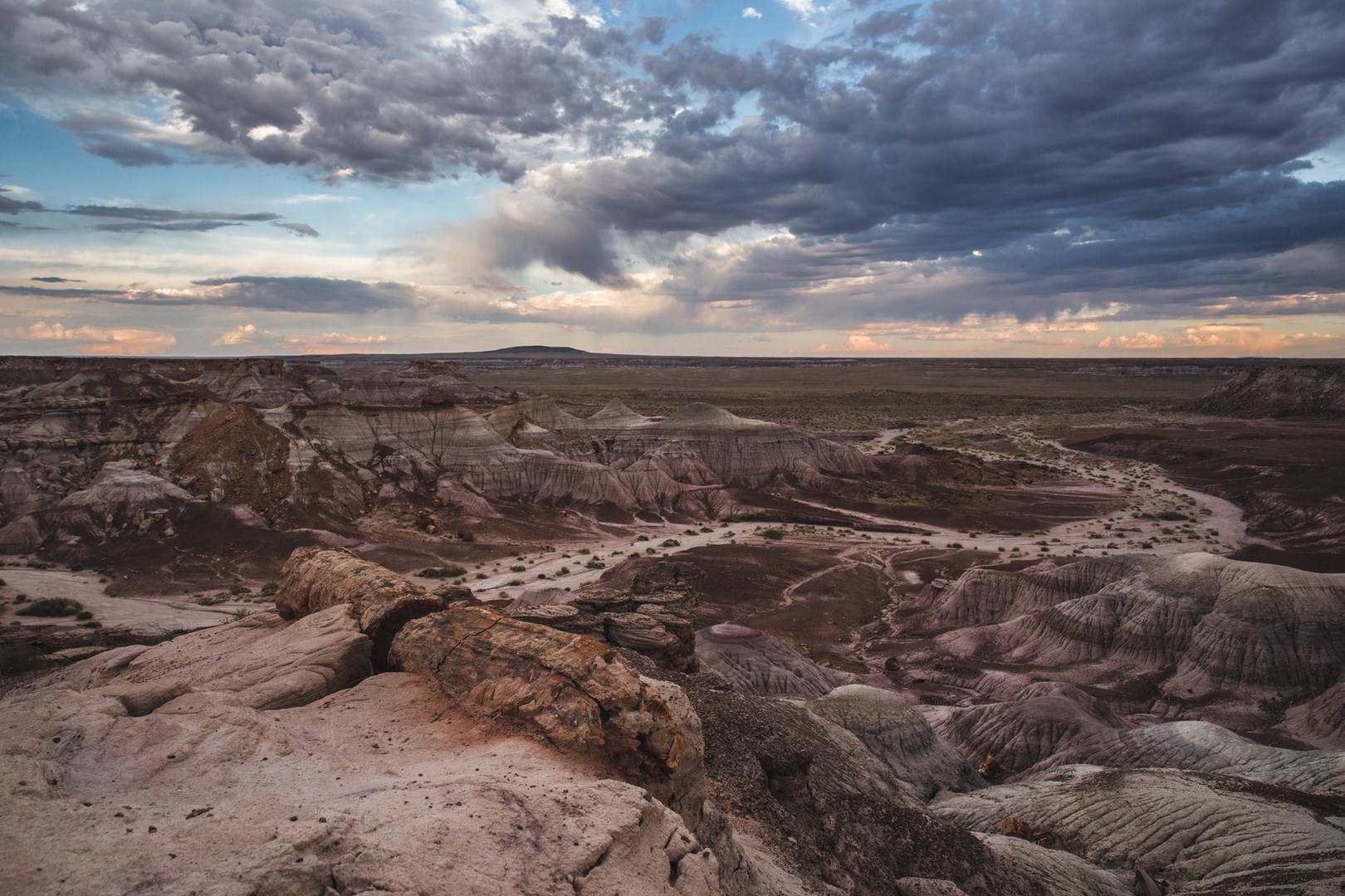 Petrified Forest National Park | Outdoor Project