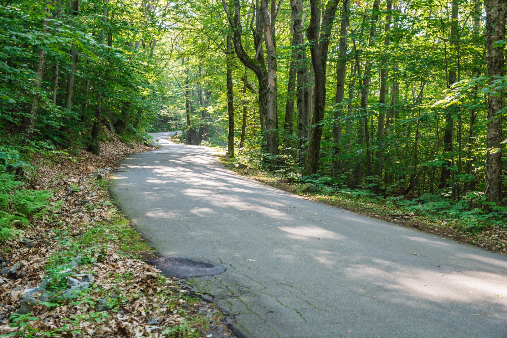 Miller State Park | Outdoor Project