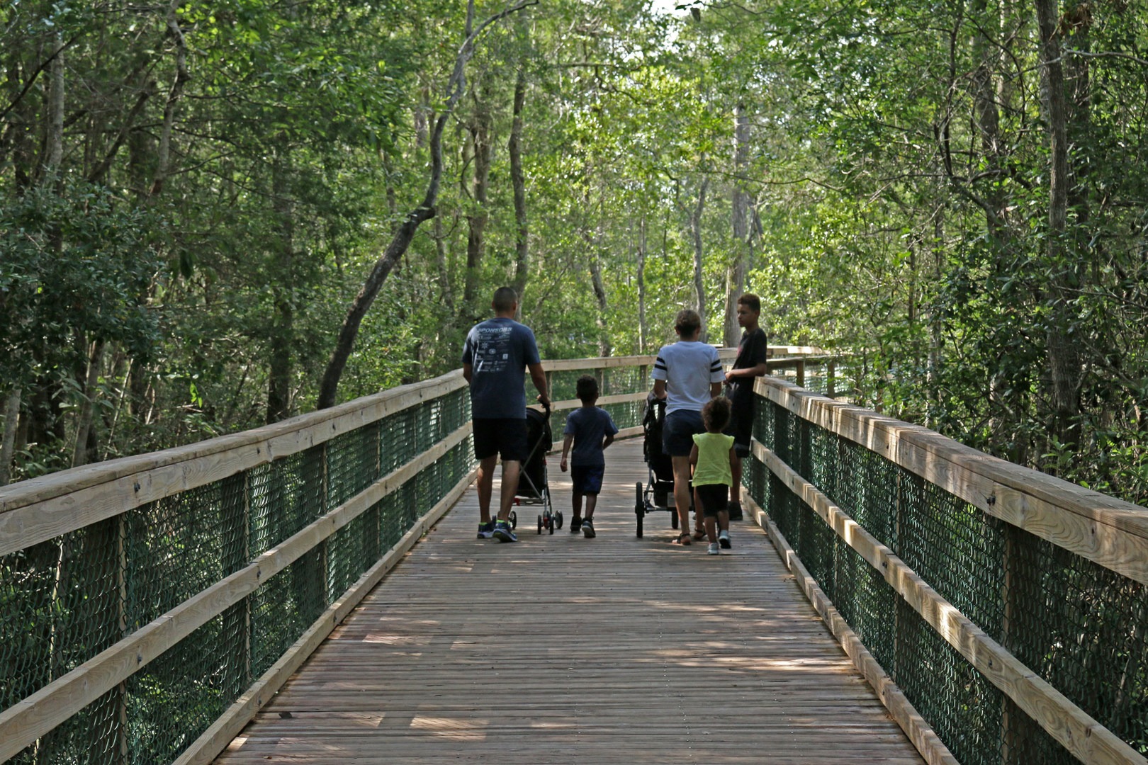 turkey creek forest home gainesville fl