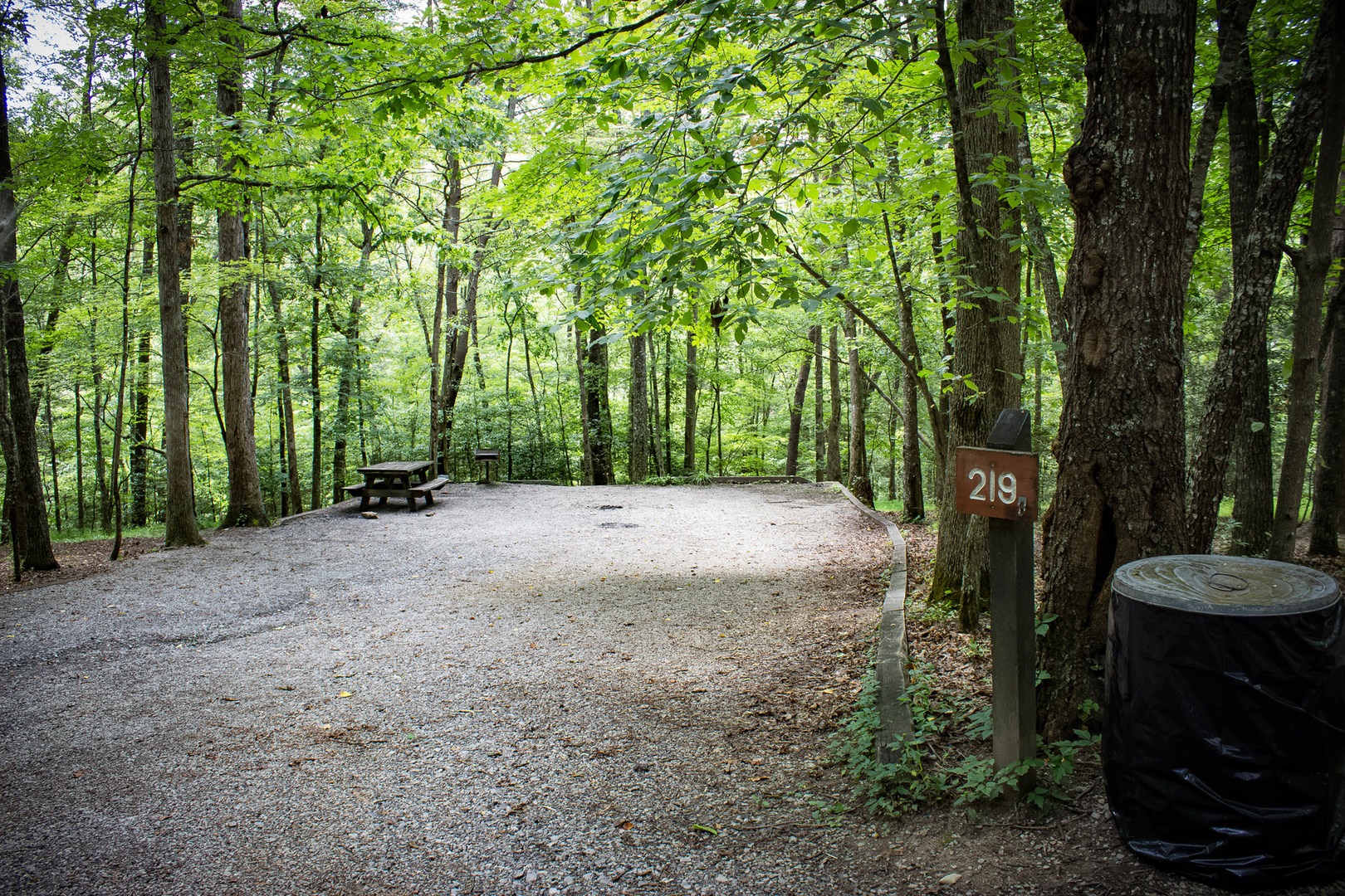 Fall Creek Falls Campground | Outdoor Project