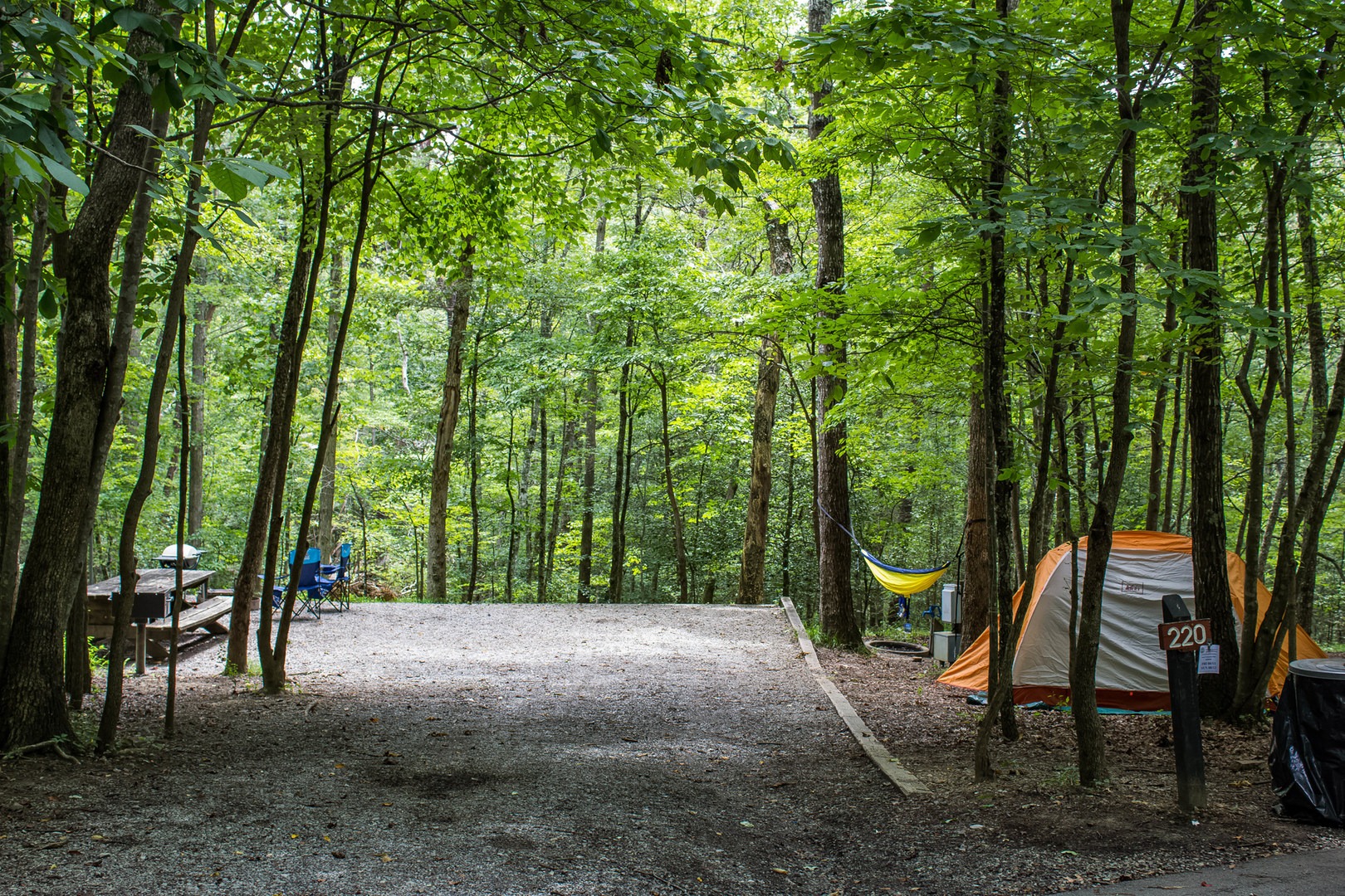 Fall Creek Falls Campground | Outdoor Project