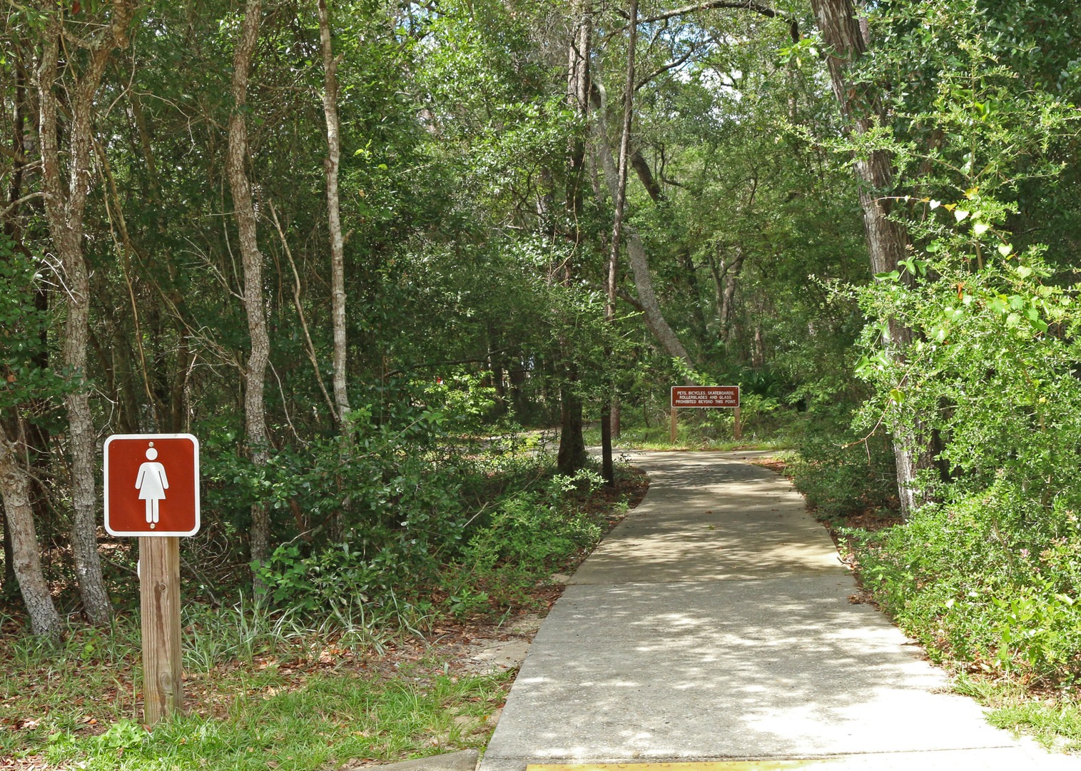 Escape to Paradise: Unwind at Fred Gannon Rocky Bayou State Park