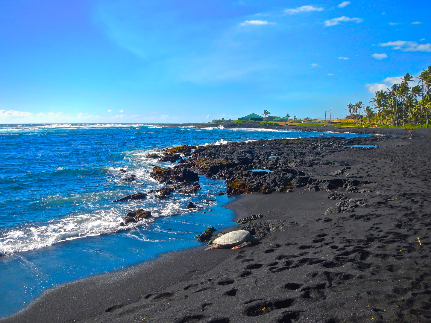 Punalu'u Black Sand Beach Campground | Outdoor Project