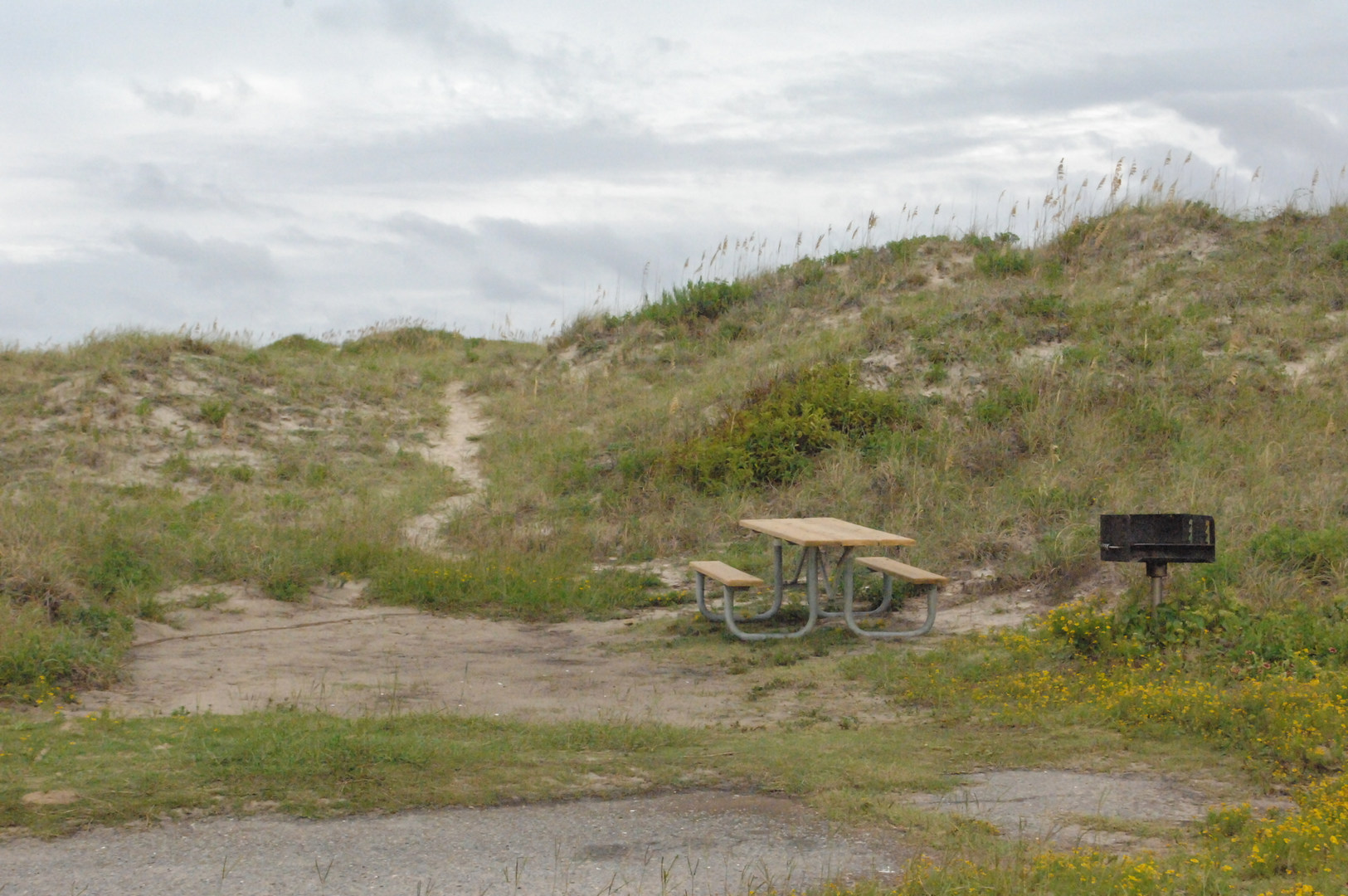 Escape to Paradise: Your Guide to Oregon Inlet Campground, NC