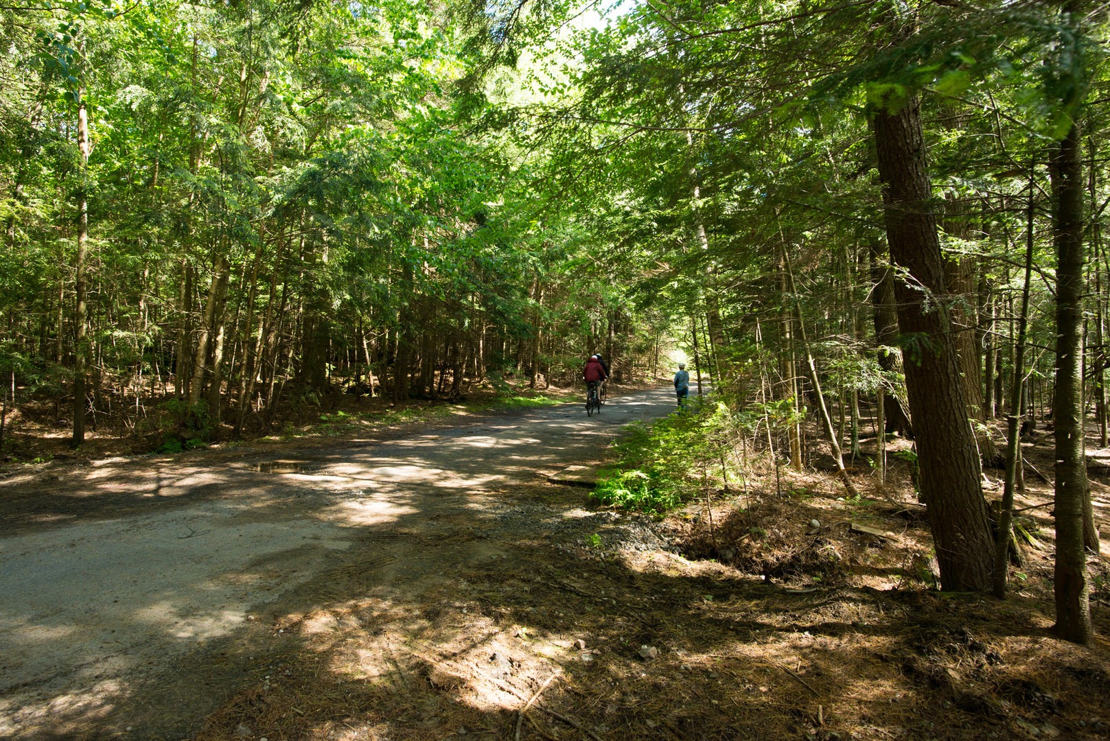 Rollins Pond Campground | Outdoor Project