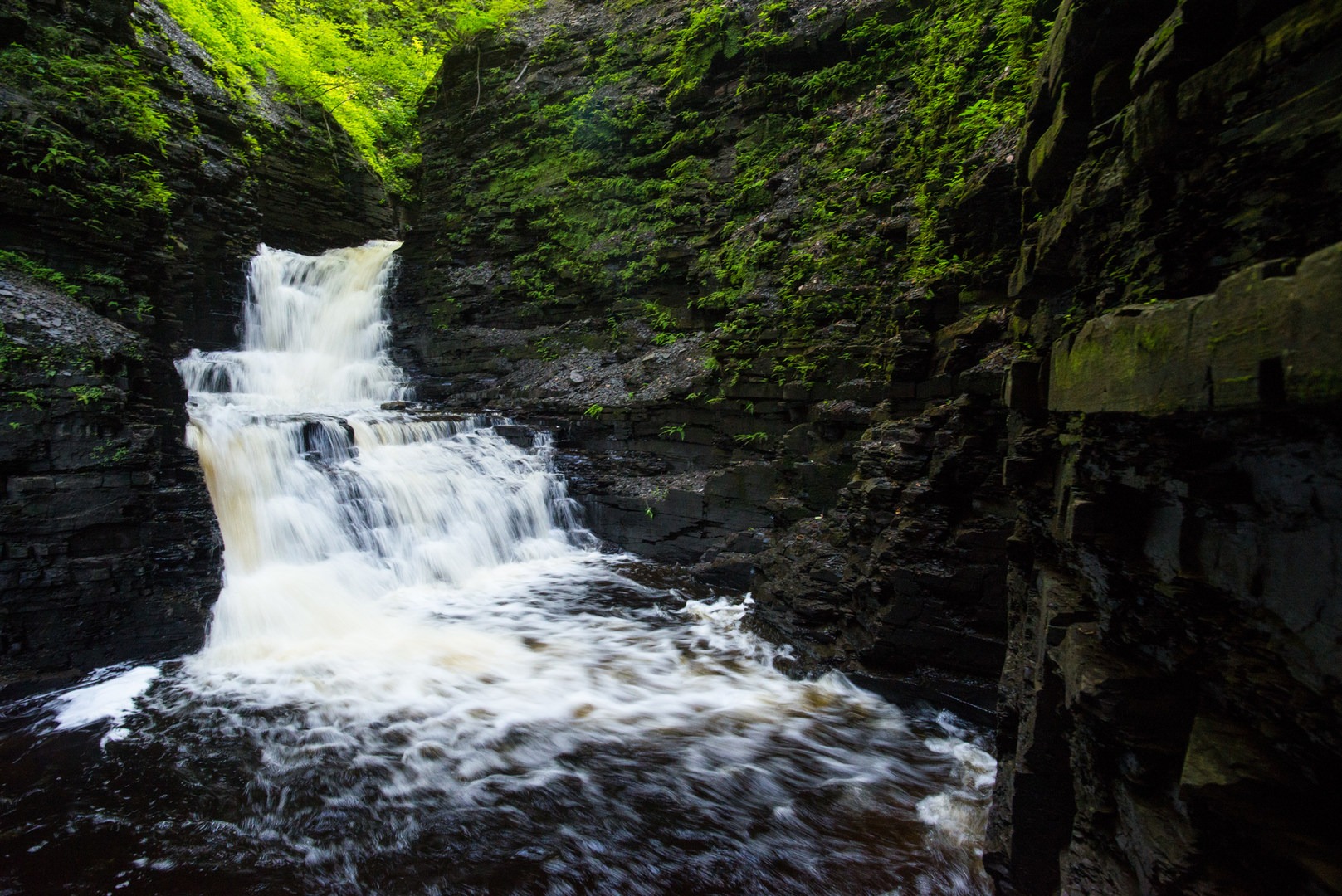 Where the Falls Roar and the Forest Whispers: Exploring Whetstone Gulf State Park