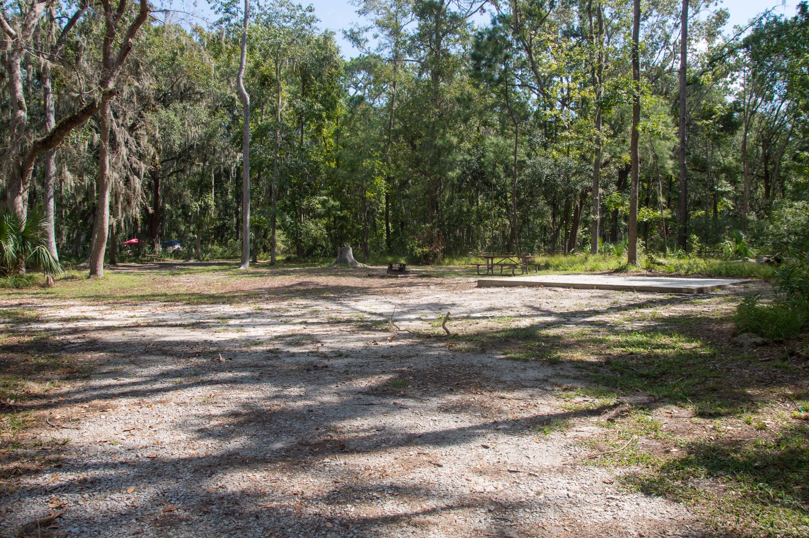 Skidaway Island State Park Campground | Outdoor Project