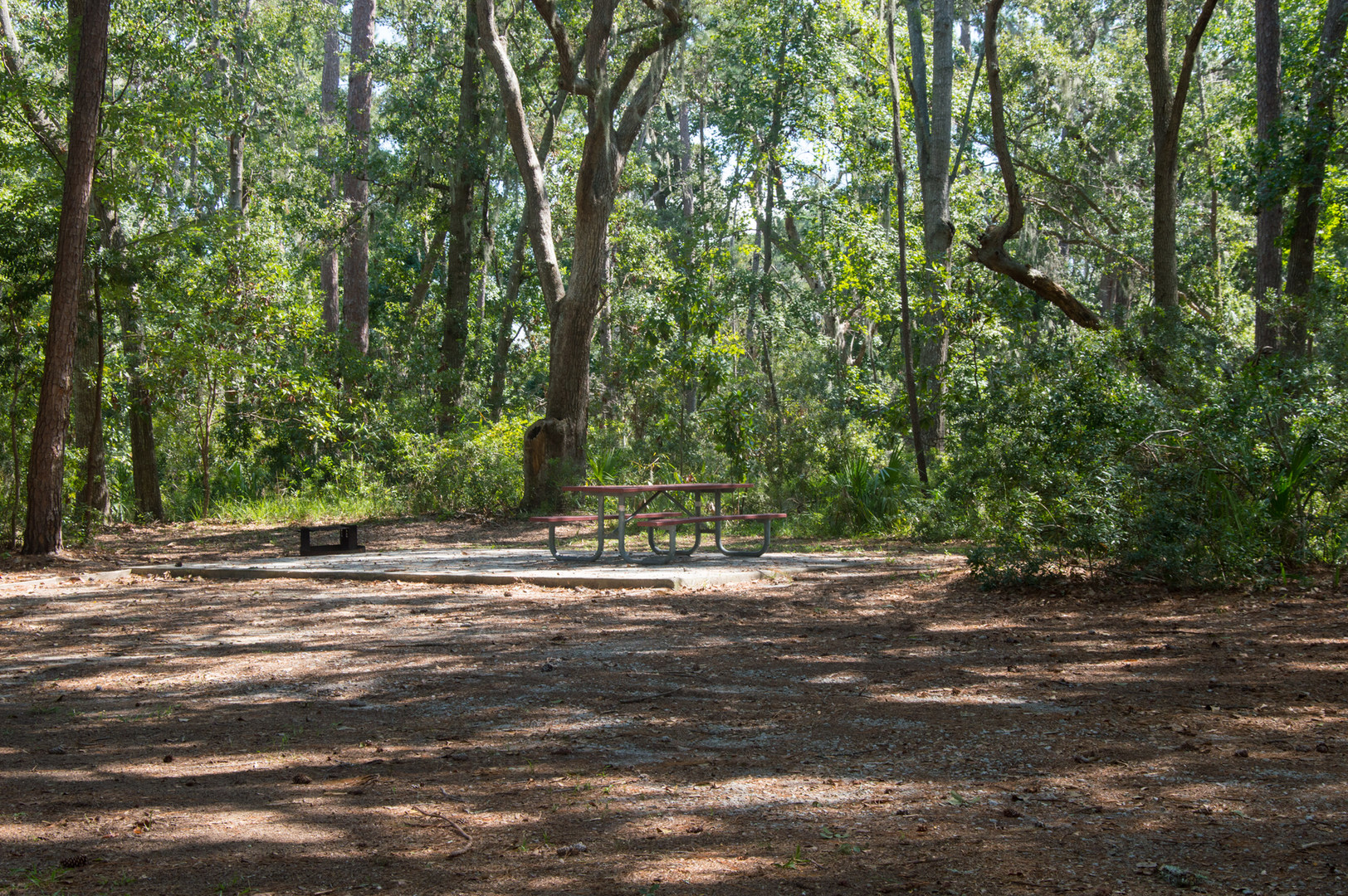 Skidaway Island State Park Campground  Outdoor Project