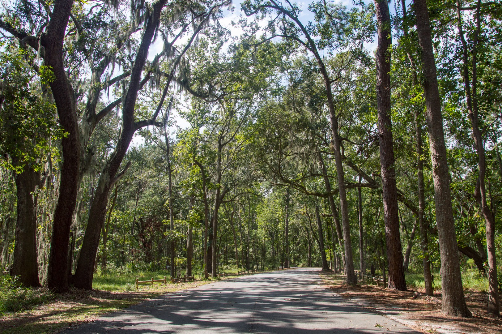 Skidaway Island State Park Campground  Outdoor Project