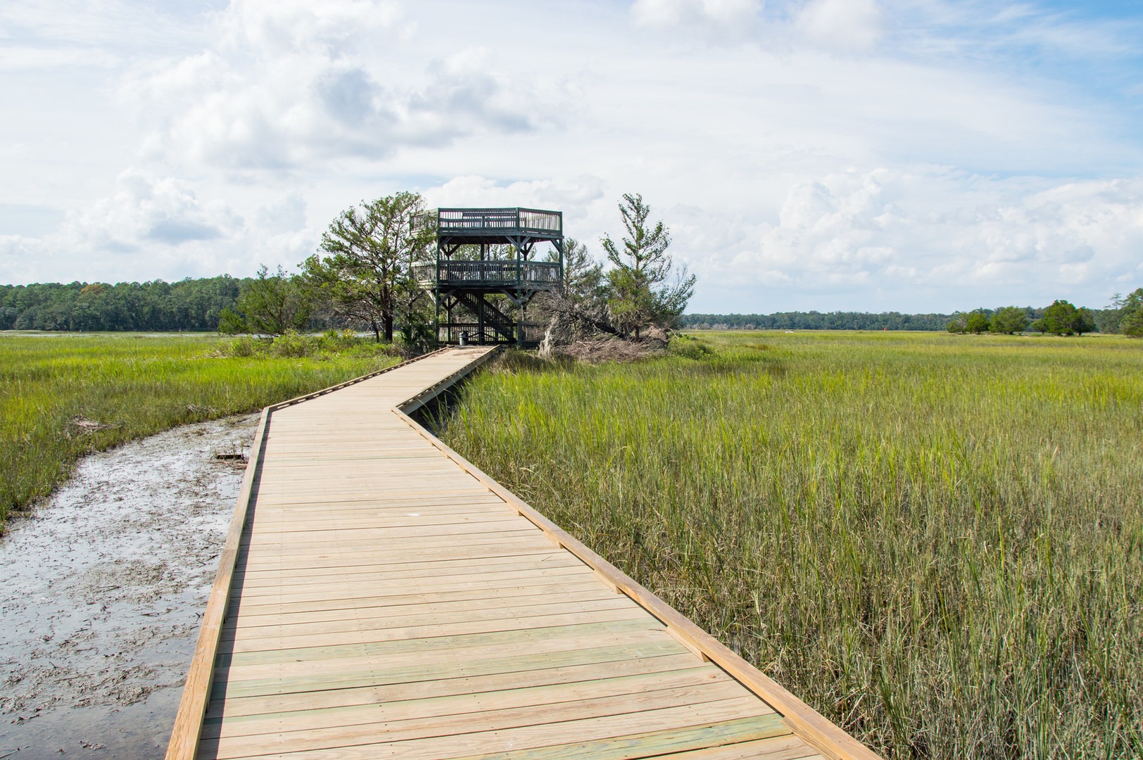 Escape to Coastal Serenity: Your Guide to Skidaway Island State Park in Georgia