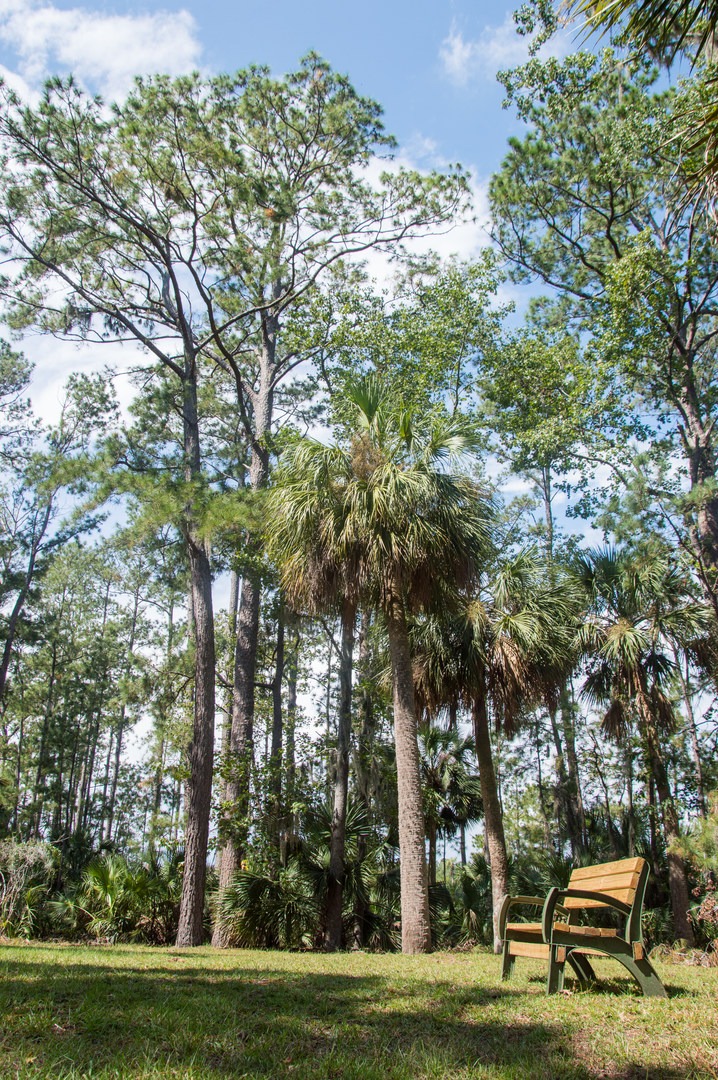 Escape to Serenity:  Skidaway Island State Park, Georgia's Hidden Gem