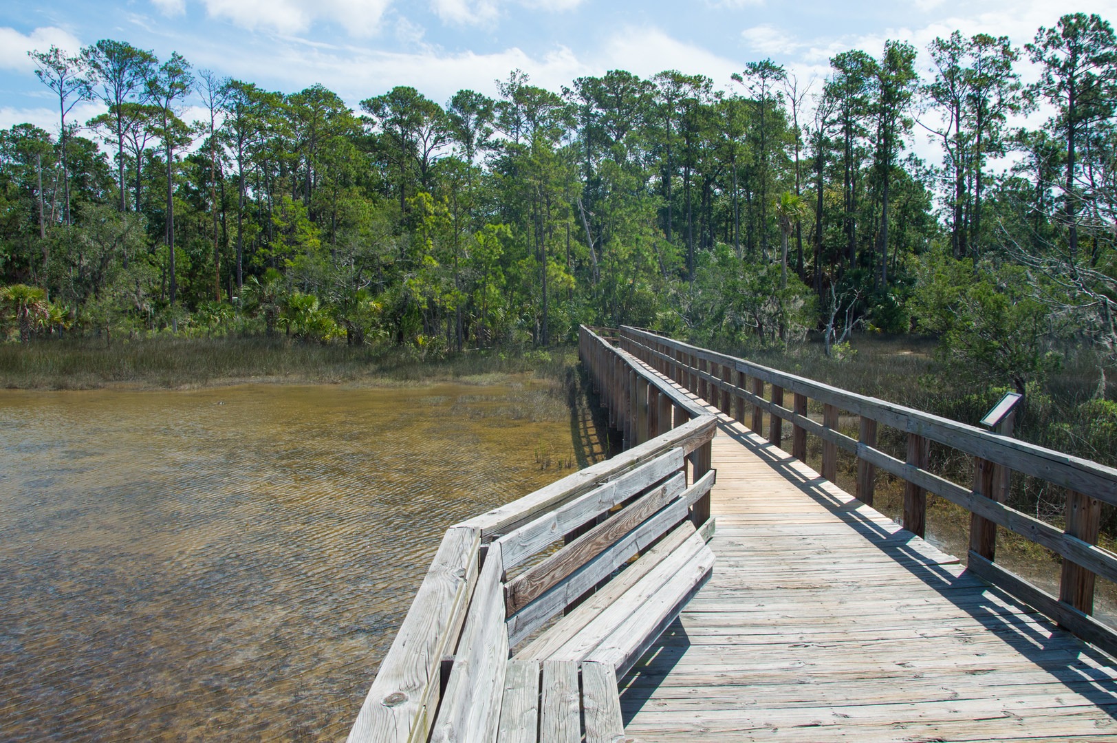 Escape to Coastal Serenity: Your Guide to Skidaway Island State Park in Georgia