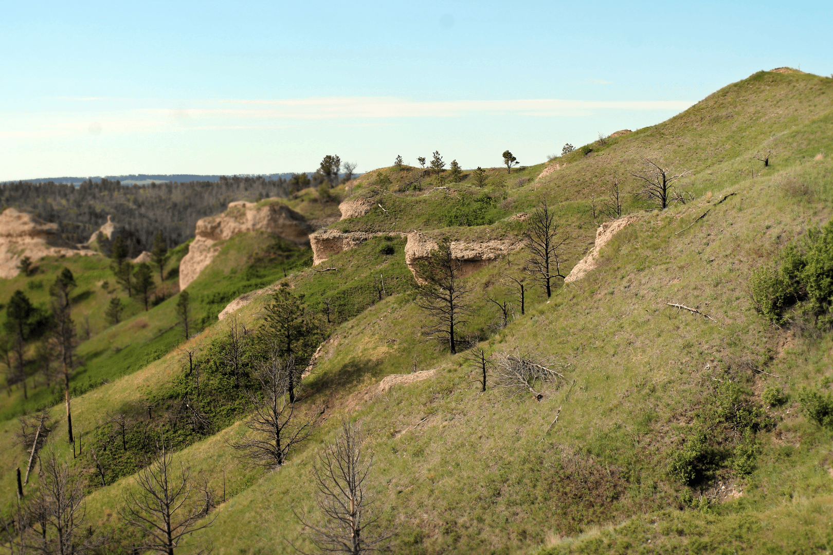 Escape to the Wild West: Chadron State Park, Nebraska's Hidden Gem