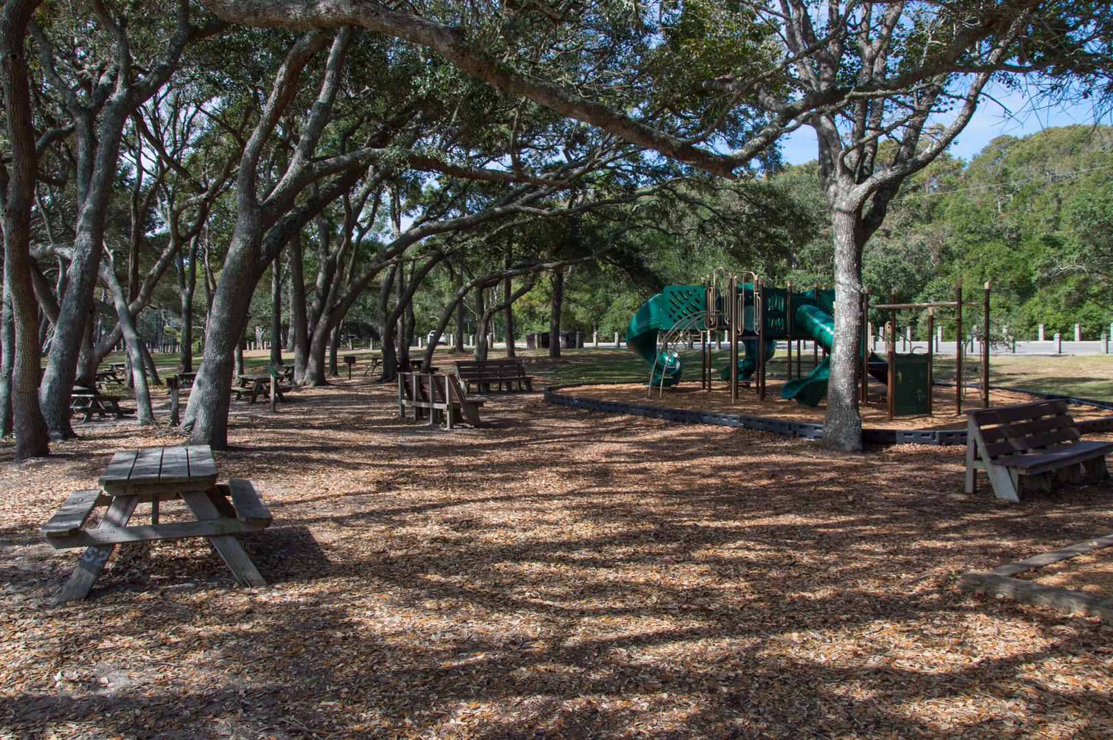 Myrtle Beach State Park Campground Outdoor Project   Dsc 0150 2 