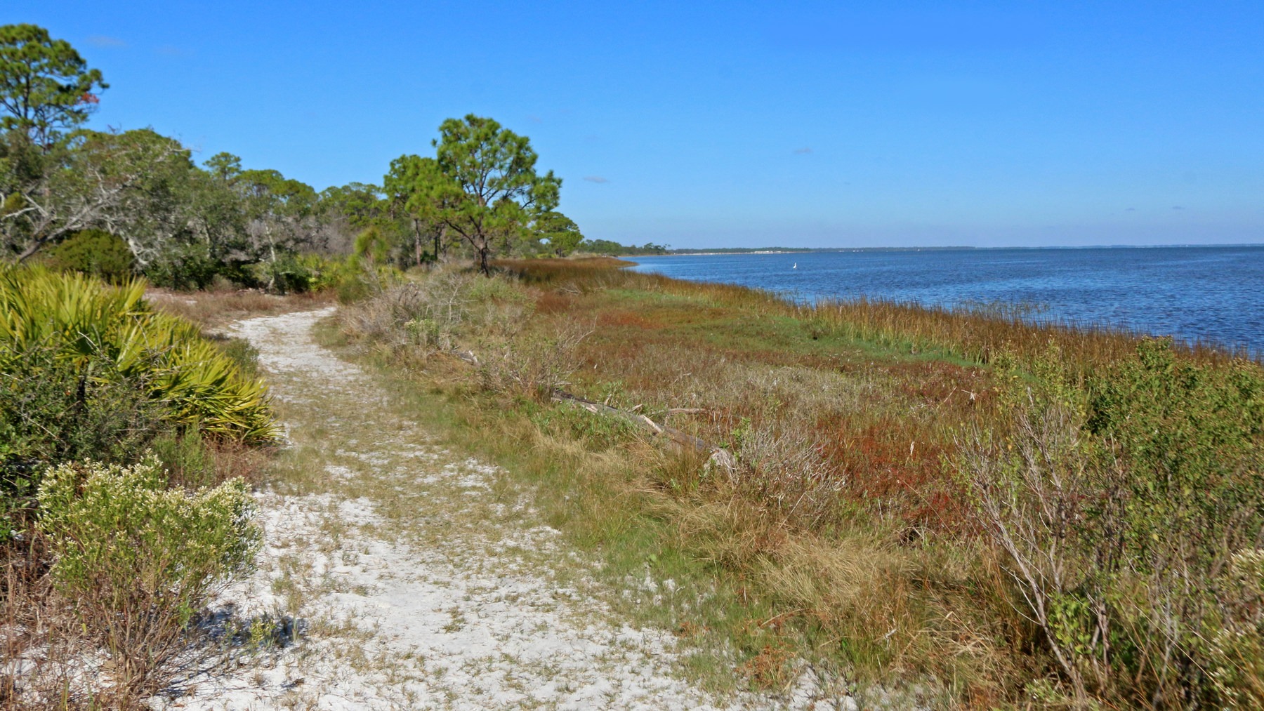 T.h. Stone Memorial St. Joseph Peninsula State Park 