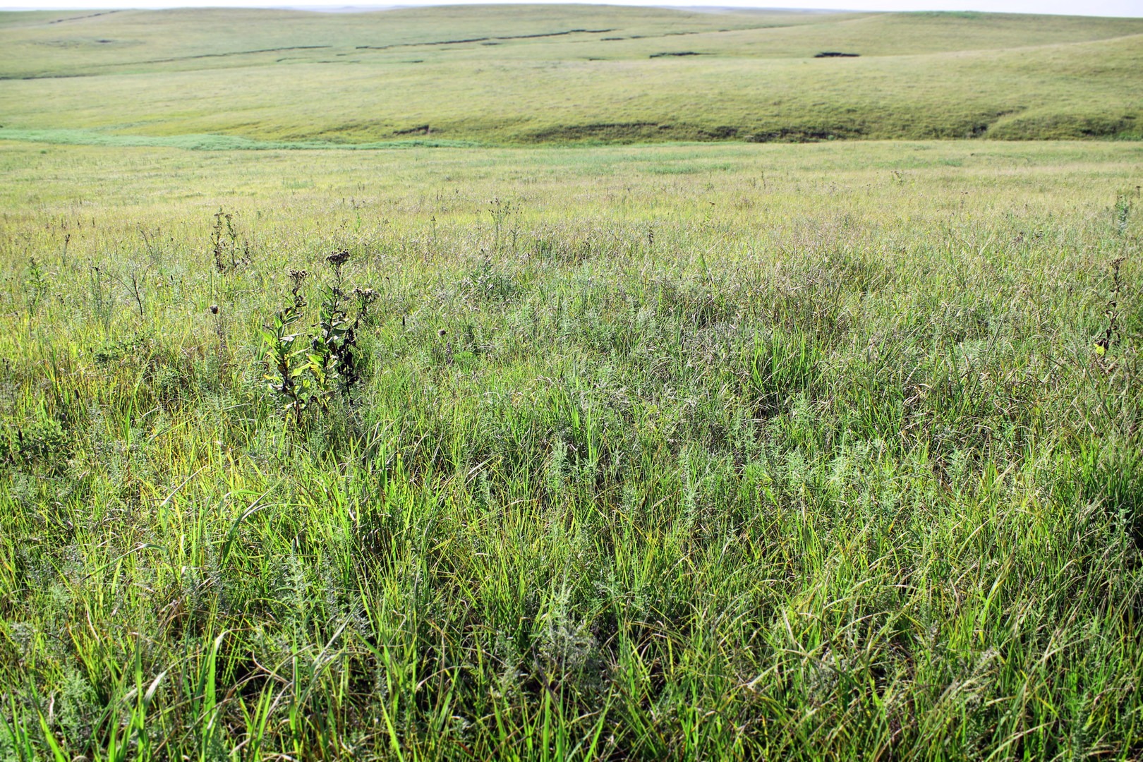 Tallgrass Prairie National Preserve | Outdoor Project