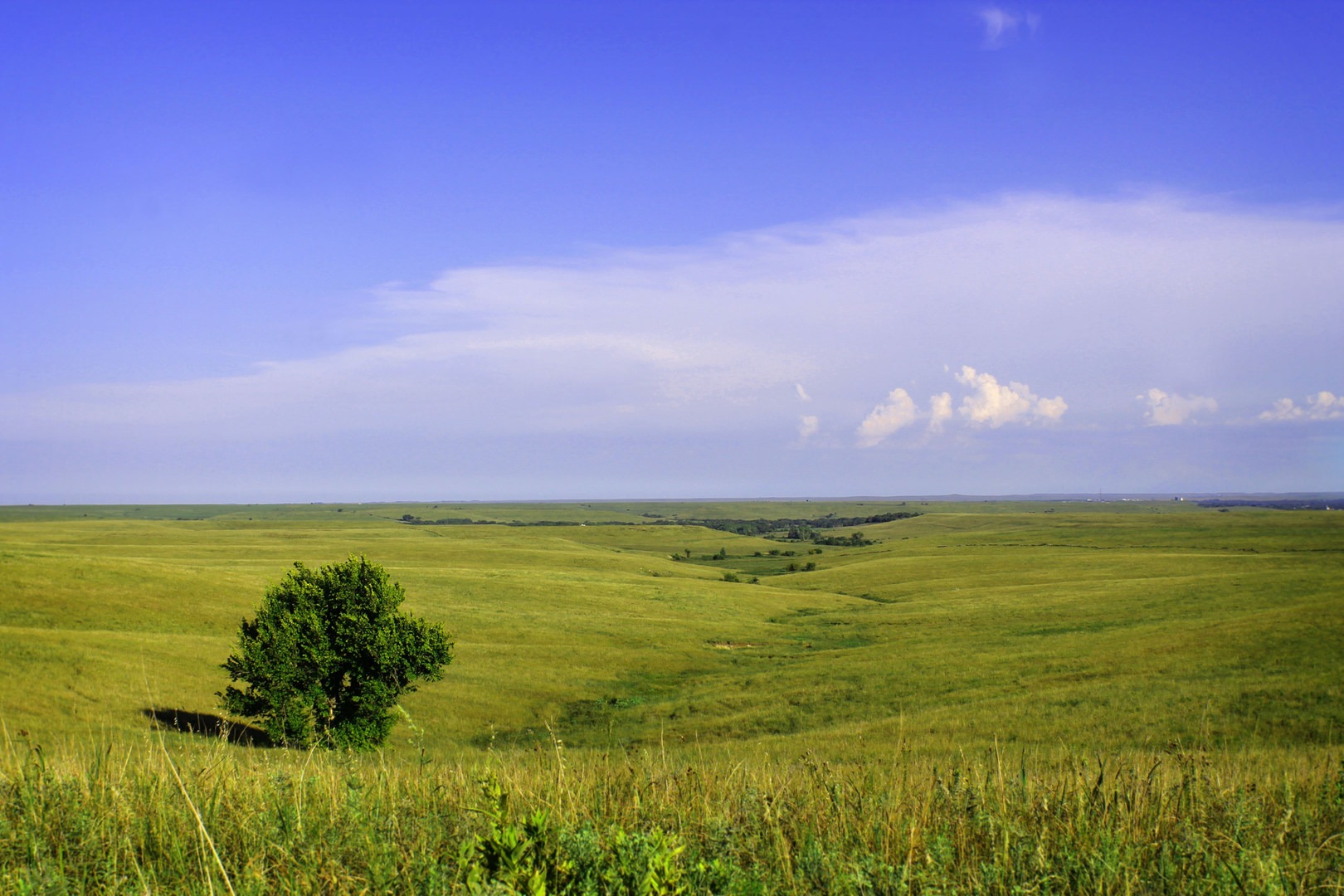 Tallgrass Prairie National Preserve | Outdoor Project