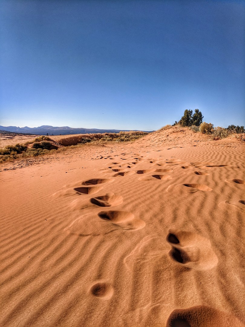 Coral Pink Sand Dunes State Park | Outdoor Project