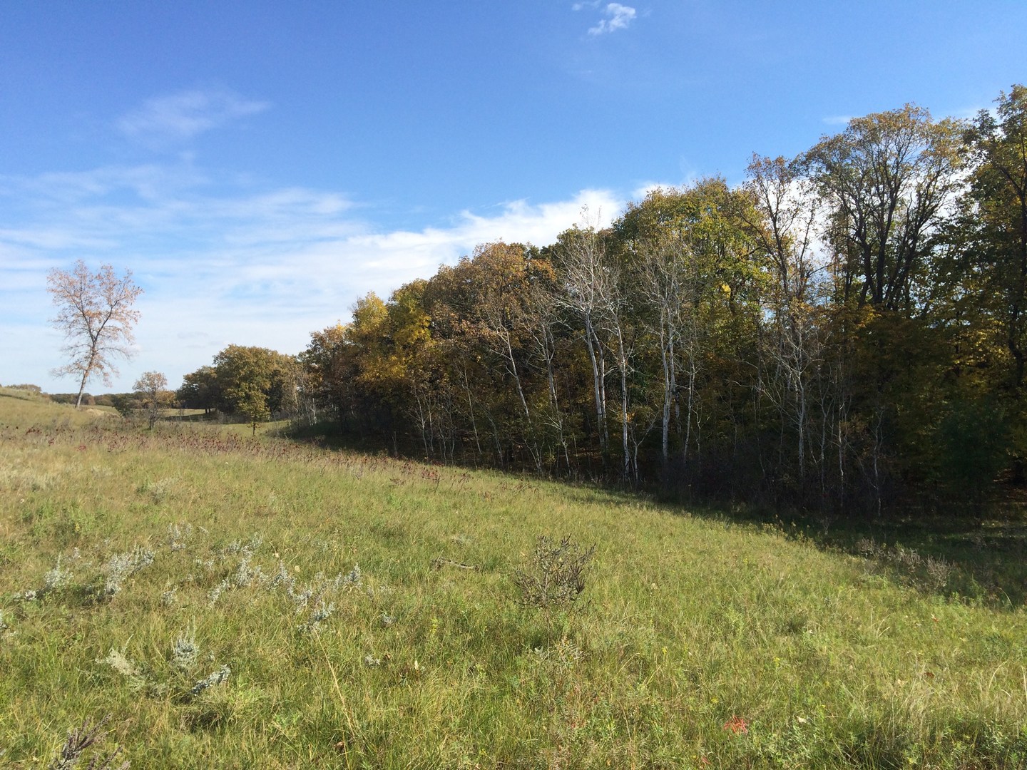 Sheyenne National Grassland | Outdoor Project