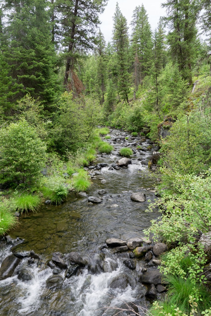 North Fork John Day River Trail via Oriental Creek Trailhead | Outdoor ...