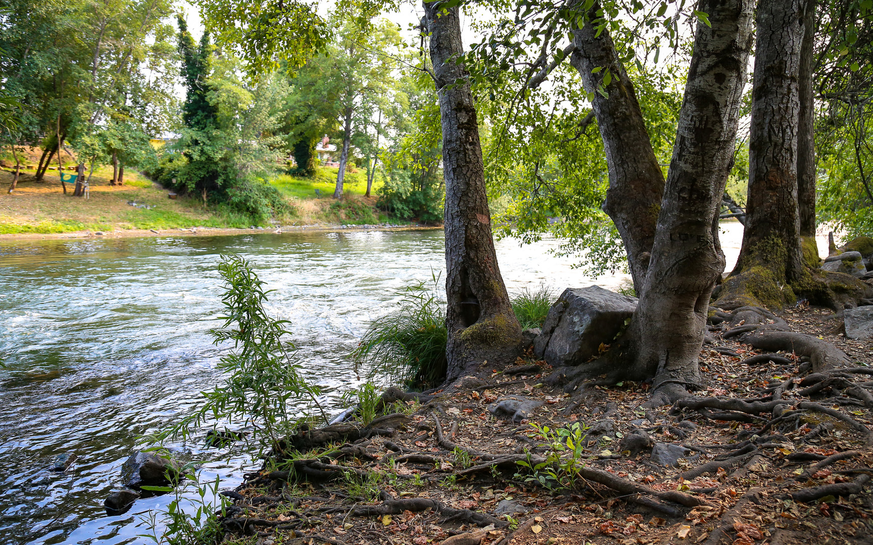 Valley Of The Rogue State Park | Outdoor Project