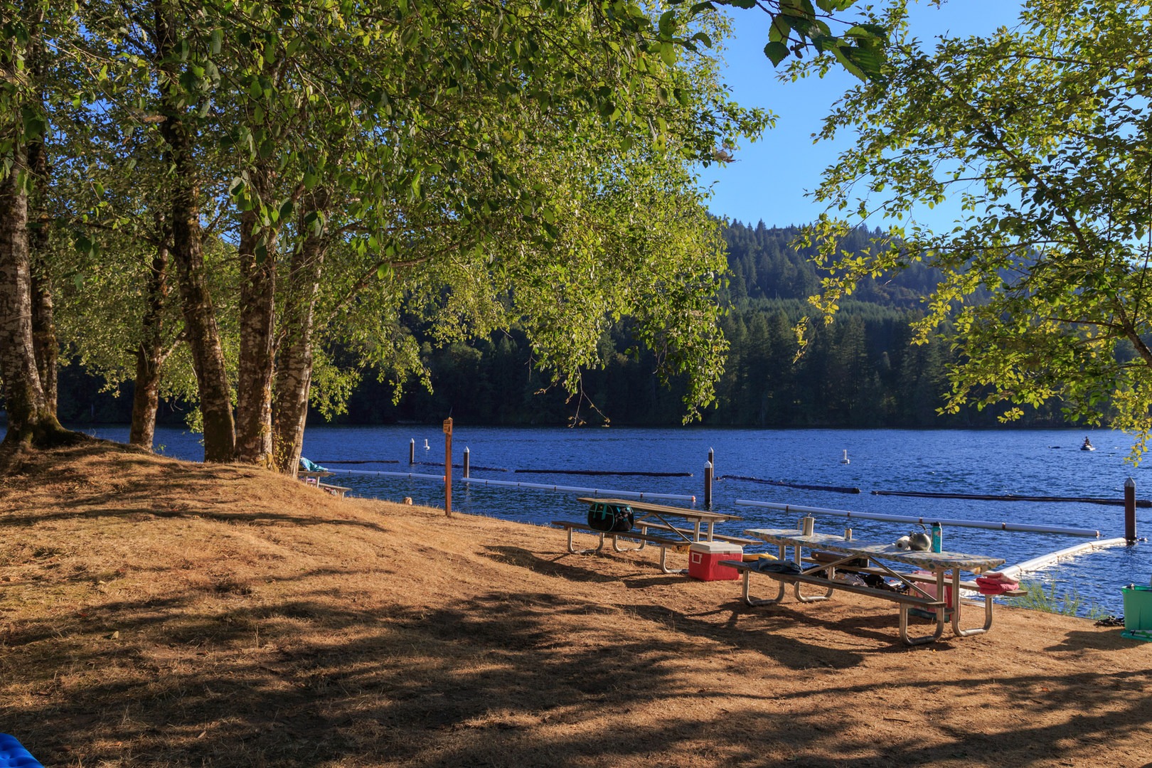 Cresap Bay Recreation Area Campground | Outdoor Project