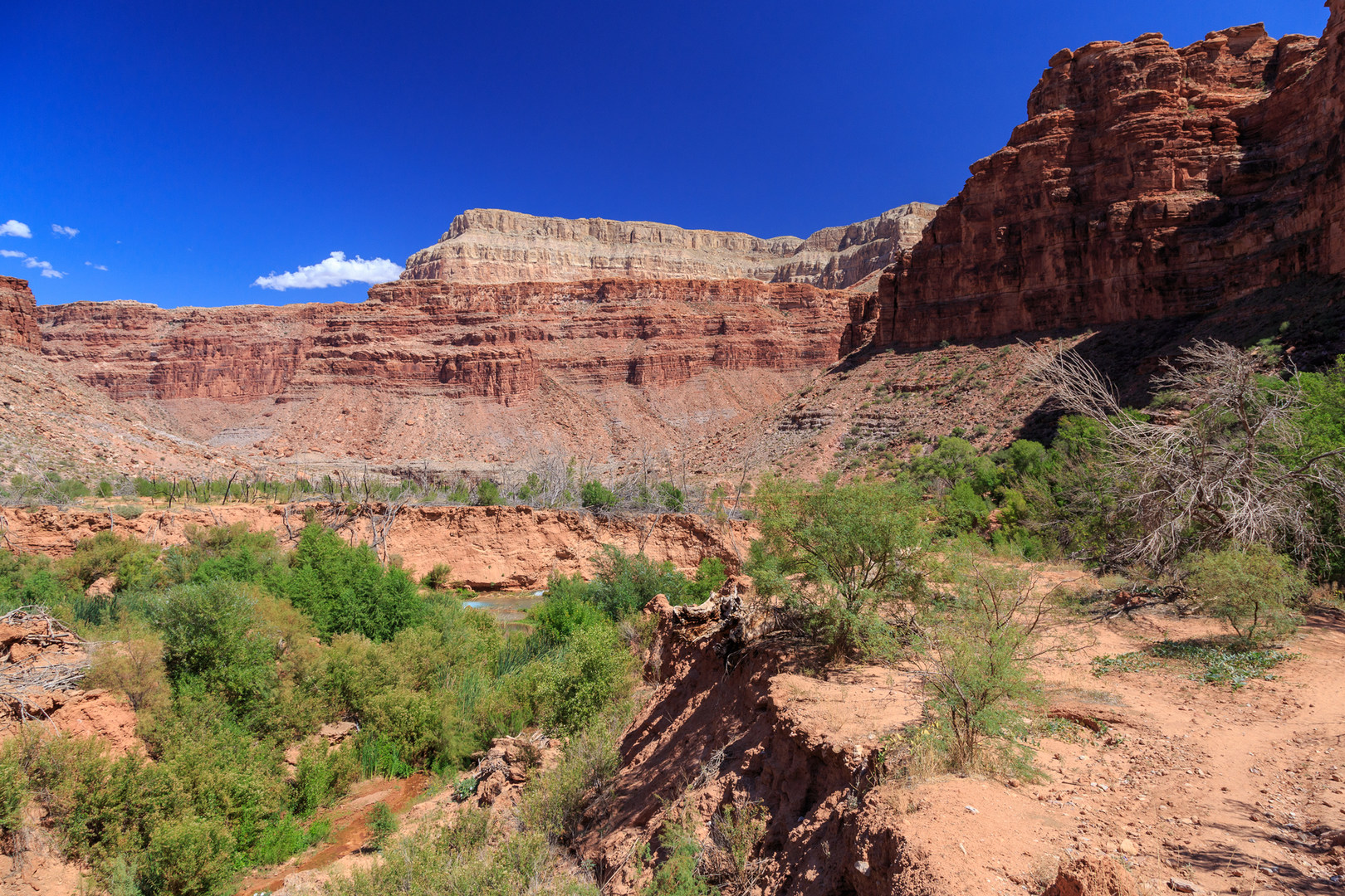 Havasu Falls Hike via Havasupai Trail | Outdoor Project